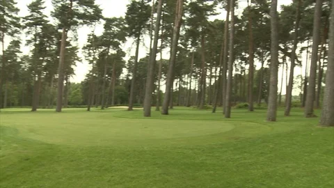 Pan from left to right across a golf green Stock Footage 80468688