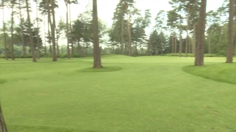 Pan from left to right across a golf green Stock Footage 80468764