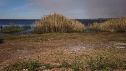 Pan left to right of bell curve shape of green and dry brown reeds with smoke Stock Footage 266540924