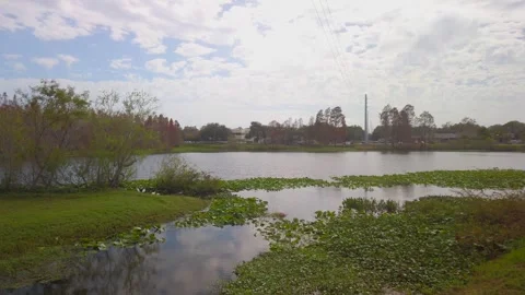 Pan left to right  Booker Creek Park Lake. St. Petersburg, Florida. Green grass Stock Footage 262826448