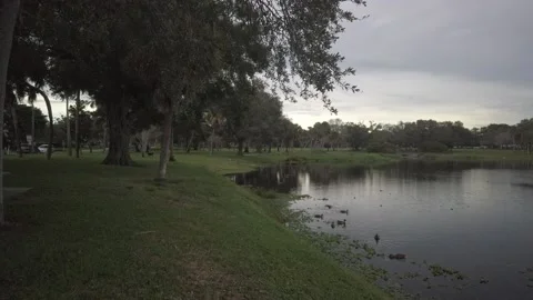Pan left to right at Crescent Lake Park in St. Petersburg, FL Stock Footage 257581052