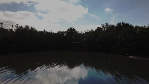 Pan left to right to Great White egret sitting in brown bay water Stock Footage 260635615