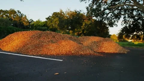 Pan left to right at large light brown mulch with sunlight and shade. Piled in t Stock Footage 285272502