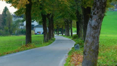 Pan from Left to Right of Mountain Road Through Forested Alpine Valley Stock Footage 320214745