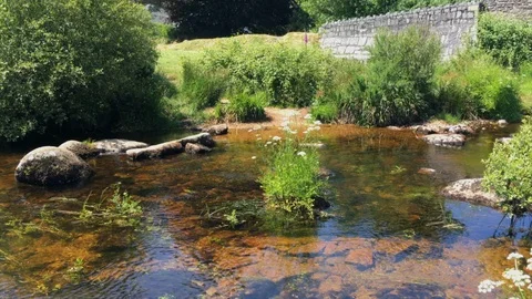 Pan from left to right of road bridge and East Dart River at Postbridge, UK Stock Footage 94957825