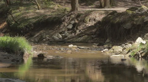 Pan Left-Right of Stream Stock Footage 62548312