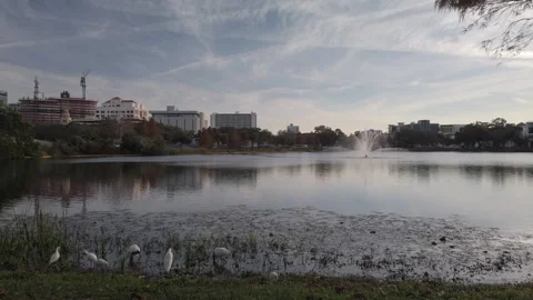 Pan left to right View over Mirror Lake in St. Petersburg, Florida , Palm trees  Stock Footage 261161445