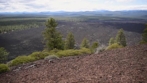 Pan from Left to Right of Wide View of Volcanic Forest with Cloudy Sky Stock Footage 155867825