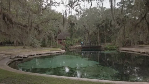 Pan Left to Right Wide view of Juniper Springs, FL Stock Footage 256047057