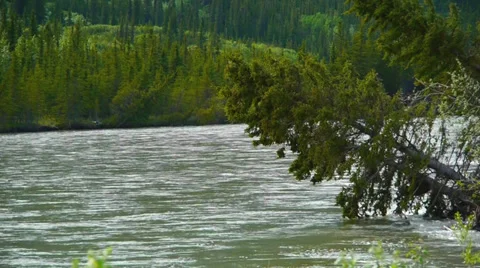 Pan Left, River Flows Through Green Valley in Mountain Shadow Stock Footage 37437165