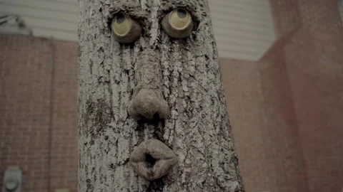 Pan left slow motion close up face on tree Atlanta Georgia 4k Stock Footage 260424170