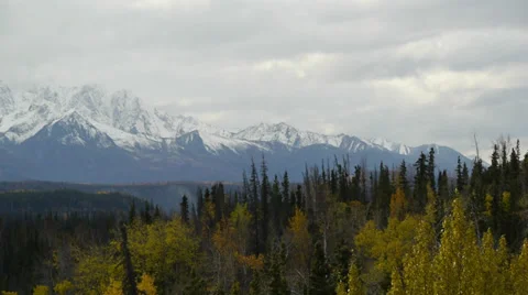 Pan Left, Snow-capped Mountains, Autumn Trees, Bluff Stock Footage 38098225