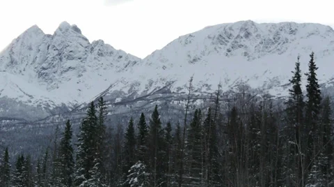 Pan Left Snow Covered Mountain Range with Trees in Foreground Stock Footage 38058894