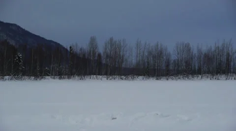 Pan Left Snowy Tree Line on Snow Covered, Frozen Lake Stock Footage 38057990