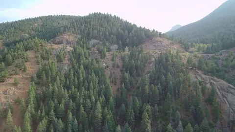 Pan left trees on mountain 스톡 동영상 84957023