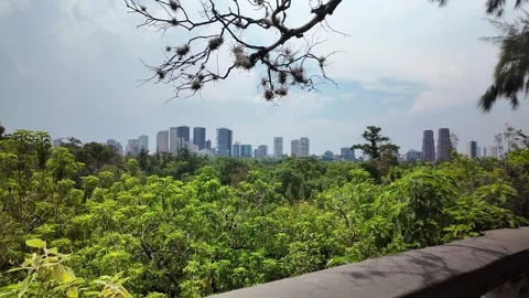 Pan Left View Over Chapultepec Forest And Mexico City Skyline Vídeos de archivo 337439841