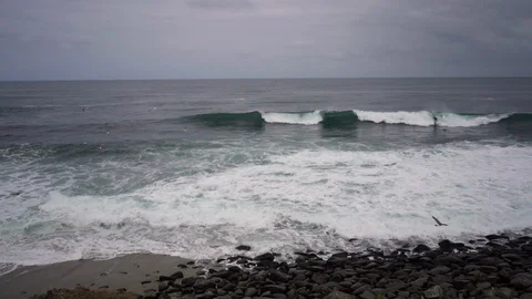 Pan Left Waves Crashing and Birds Flying at La Jolla Cove Stock Footage 96039484