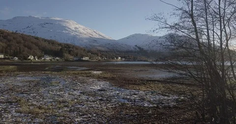 Pan of loch from tree line using drone Stock Footage 104971530