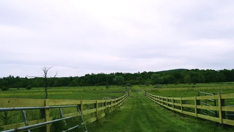 Pan on a long path through a large farm Stock Footage 130144216