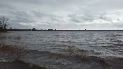 Pan low angle river reeds beach Stock-Footage 143197373