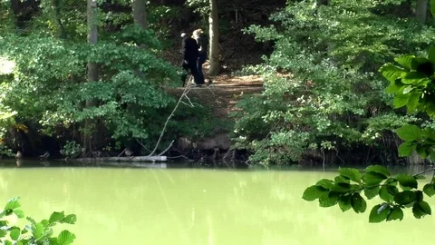 Pan: Man and two women strolling alongside a pond, wild ducks, mallards, trees Video stock 80238751