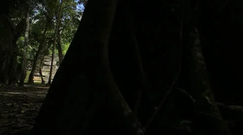 Pan of Mayan Temple Stock Footage 10849802