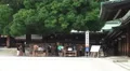 Pan Of Meiji Jingu Shrine On Bright Day 4k or 4k+ Resolution