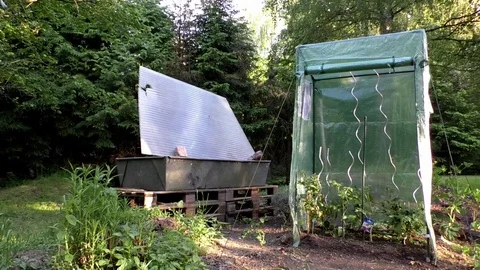 Pan: Mini greenhouse, growing tomatoes, surrounded by trees, inside a garden Stock Footage 76798345