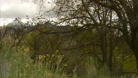 Pan to misty mountain Stock Footage 87848456