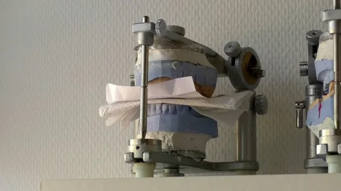 Pan: Model of teeth on the shelf of a dental laboratory for prosthetic dentistry Video stock 76779075
