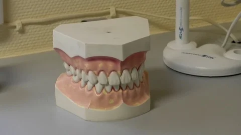 Pan: Model of teeth on the shelf of a dental practice, prosthetic dentistry Stock Footage 76779984