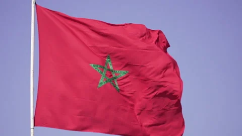 Pan on the moroccan flag waving in slow motion Stock Footage 239446510