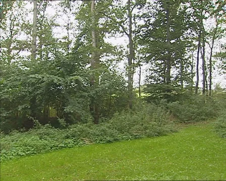 Pan mound + hold at the front of the Glavendrup stone, an ancient rune stone Stock Footage 43404405