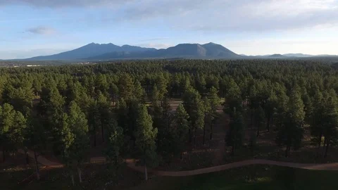 Pan on Mount Humphreys Forest Mountain, Flagstaff, Arizona Stock Footage 101623090