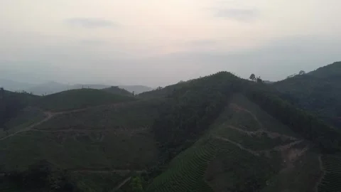 Pan Up Mountain with Paths Stock Footage 255030550