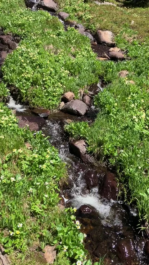 Pan up mountain spring Vidéo 283311309