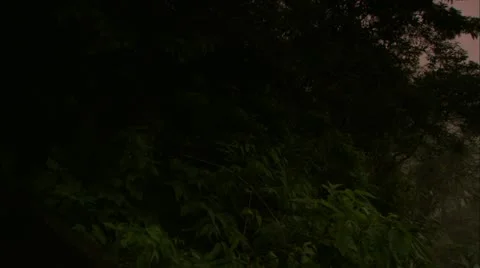 Pan Of Mountain through Forest, Tijuca Brazil HD Video Stock Footage 22146117