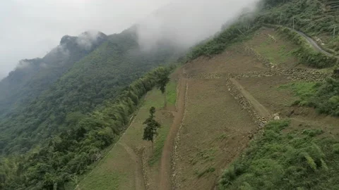 Pan move and static view. Aerial drone shot of tea plantation on cloud covere Stock Footage 188556598