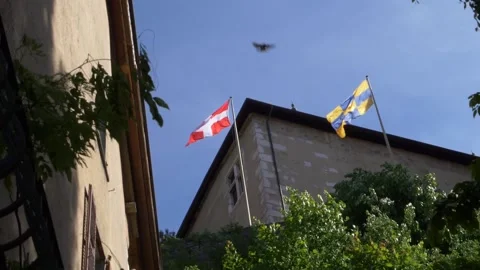 Pan movement and Reveal two flags with switzerland in of birds flying and mid Stock Footage 155376299