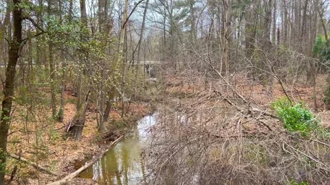 Pan of nature and a river with traffic in the background on highway 1 in Augu Stock-Footage 147096789