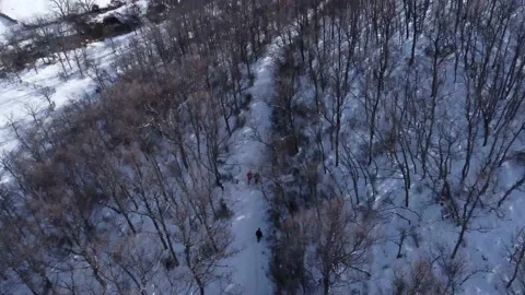 Pan up of now mountain trees and people walking from above Stock Footage 158547571