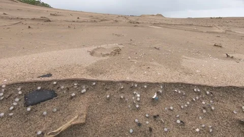 Pan of nurdles (plastic pellets) scattered on beach behind little sandy ridge Stock Footage 157287515