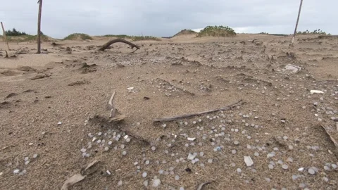 Pan of nurdles (plastic pellets) scattered on beach; dunes in background Stock Footage 157287584