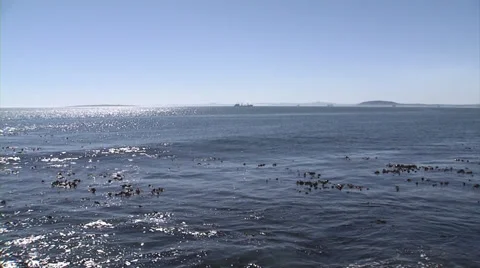 Pan of ocean and distant mountains near Cape Town Stock Footage 37758821