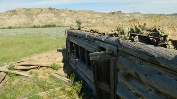 Pan of old barn with cactus Stock Footage 85670926