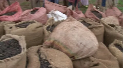 PAN open coffee sacks to people gathered at market in Africa Vídeo Stock 11366228