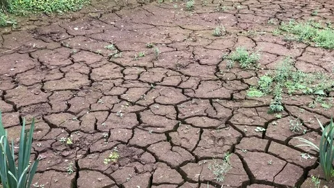 Pan over bottom of empty pond with cracked brown earth in drought Stock Footage 93780018