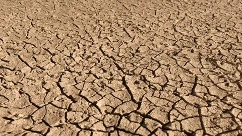 Pan over bright cracked dry soil ground during drought Stock Footage 260898536