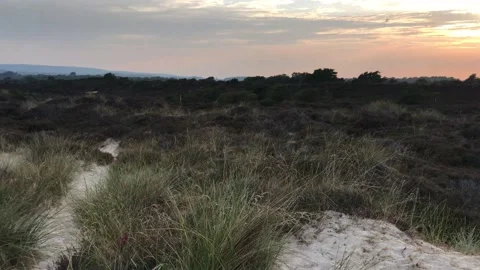 Pan over the dunes and sunset to the sea Stock Footage 145839308