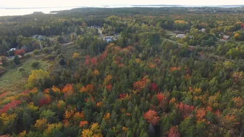 Pan over fall forest revealing ocean coast  Stock Footage 96709858